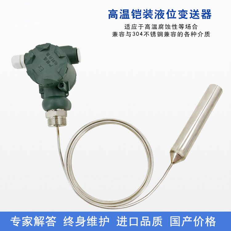 耐高溫铠裝投入式變送器